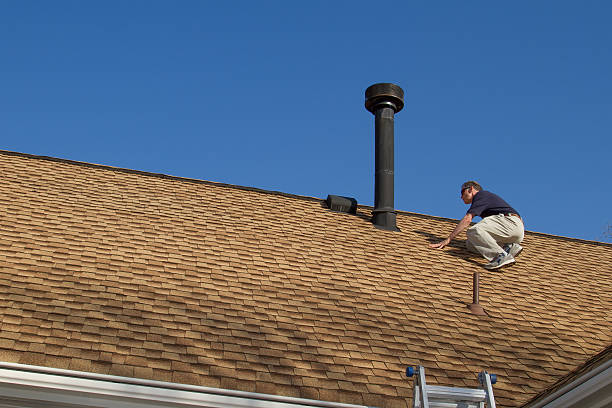 Best Roof Moss and Algae Removal  in Elizabeth Lake, CA